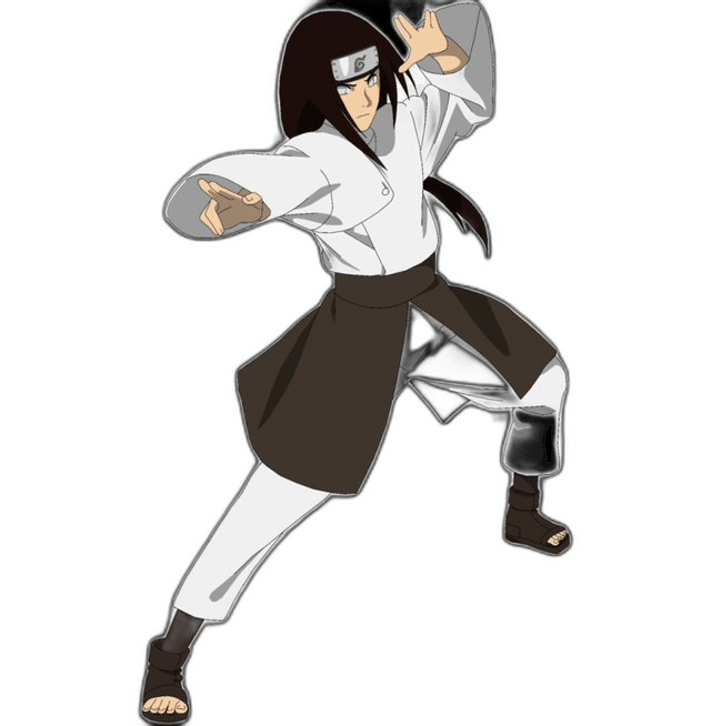 Neji Hyuga — Byakugan Prodigy
